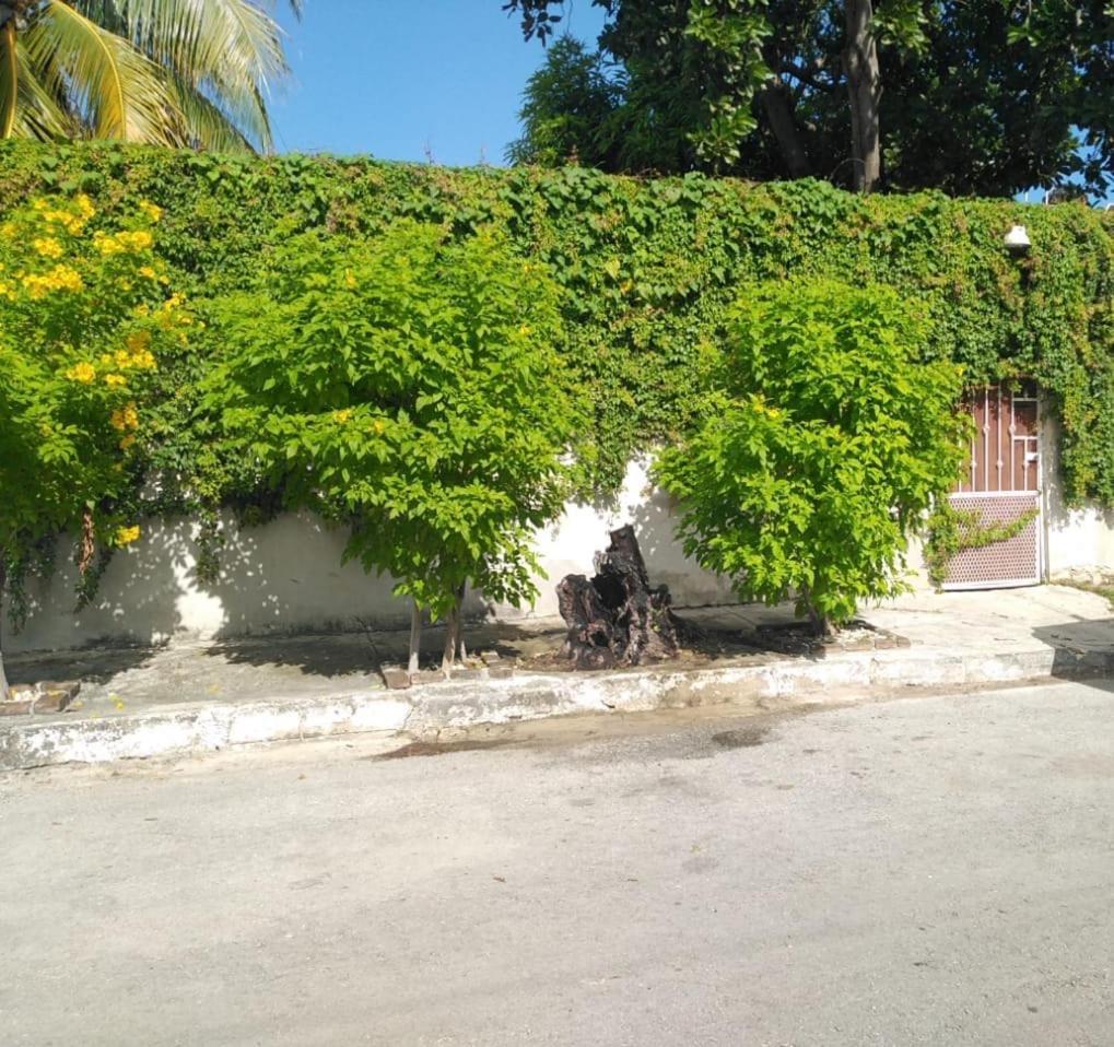 Bonita Casa A Dos Cuadras Del Mar Villa Playa del Carmen Buitenkant foto